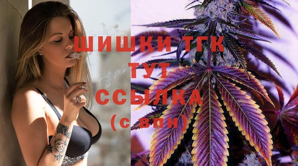 mix Белокуриха