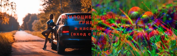 МДПВ Белоозёрский