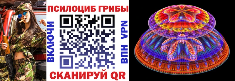 Псилоцибиновые грибы Cubensis  Надым 